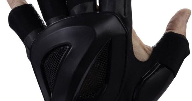 Indian Maharadja The Guard