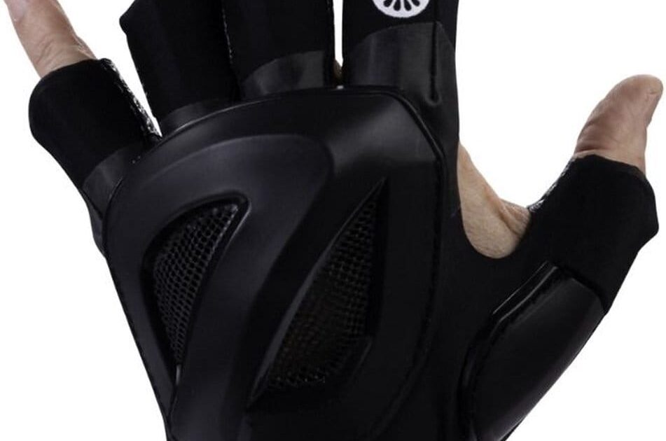 Indian Maharadja The Guard